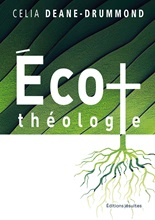 Ecotheologie